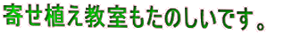 񂹐ÂłB